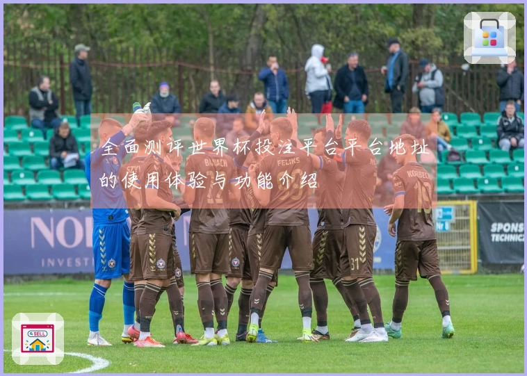 全面测评世界杯投注平台平台地址的使用体验与功能介绍