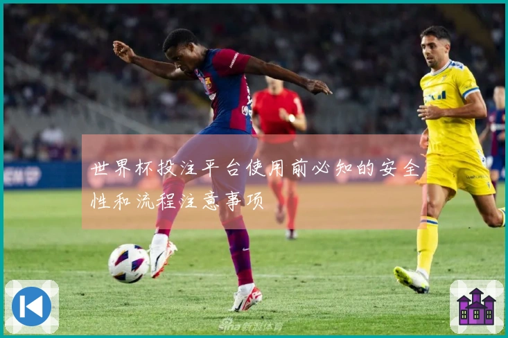 世界杯投注平台使用前必知的安全性和流程注意事项