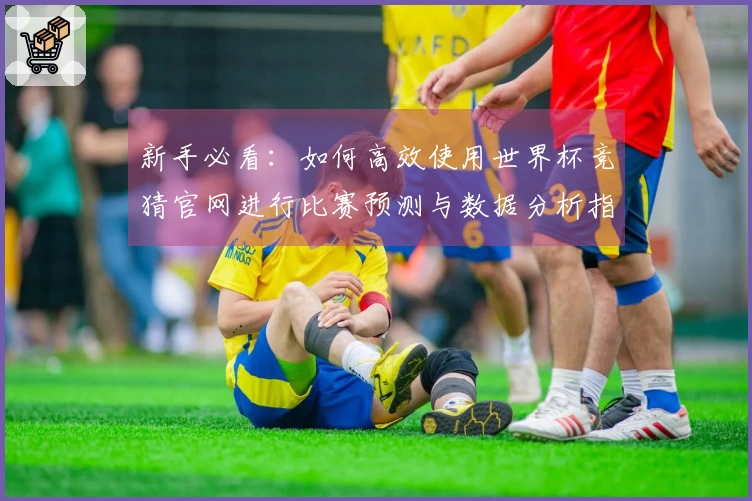 新手必看：如何高效使用世界杯竞猜官网进行比赛预测与数据分析指南