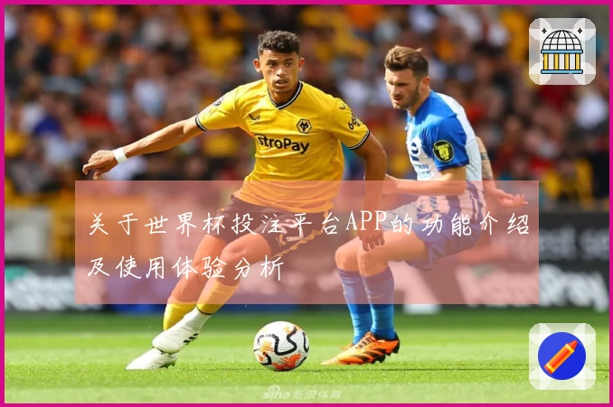 关于世界杯投注平台APP的功能介绍及使用体验分析
