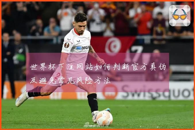 世界杯下注网站如何判断官方真伪及避免常见风险方法