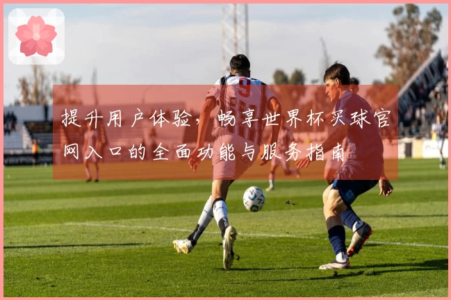 提升用户体验，畅享世界杯买球官网入口的全面功能与服务指南