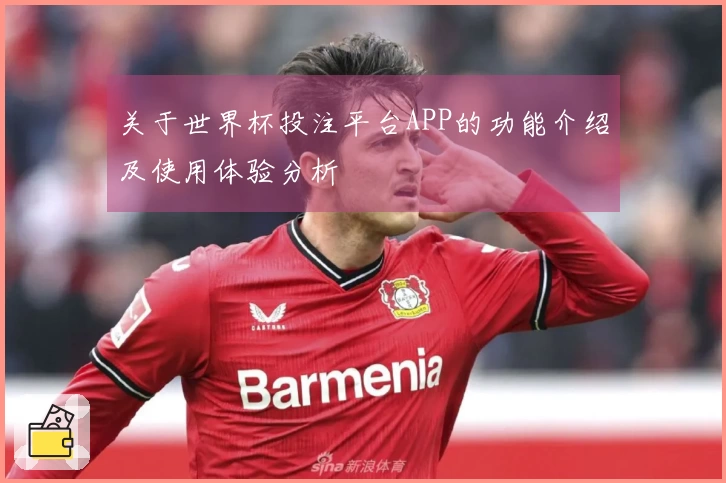 关于世界杯投注平台APP的功能介绍及使用体验分析