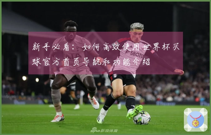 新手必看：如何高效使用世界杯买球官方首页导航和功能介绍