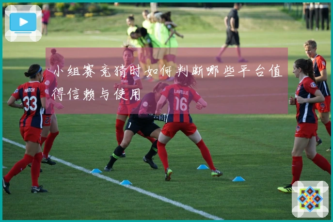 小组赛竞猜时如何判断哪些平台值得信赖与使用