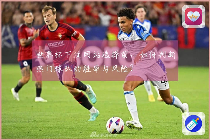 世界杯下注网站选择前，如何判断热门球队的胜率与风险？