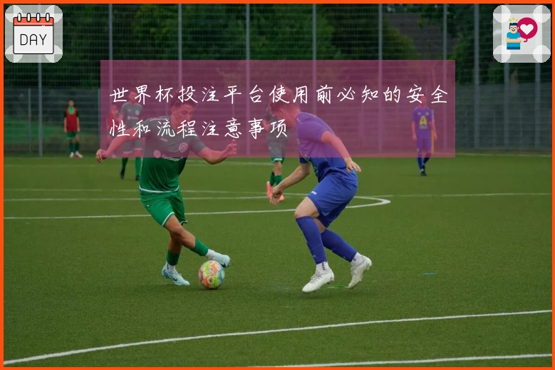 世界杯投注平台使用前必知的安全性和流程注意事项