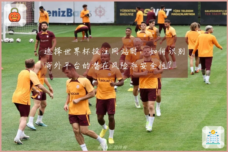 选择世界杯投注网站时，如何识别海外平台的潜在风险和安全性？