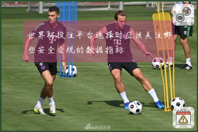 世界杯投注平台选择时应该关注哪些安全合规的数据指标